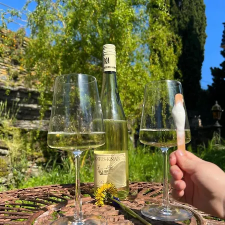 Lägenhet Wesel 550 - Urlaub Am Rhein Nahe Loreley - Wein & Geniessen *